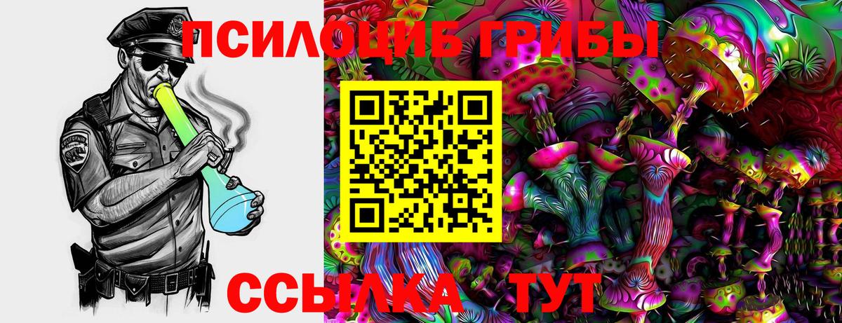 Галлюциногенные грибы GOLDEN TEACHER Лесной
