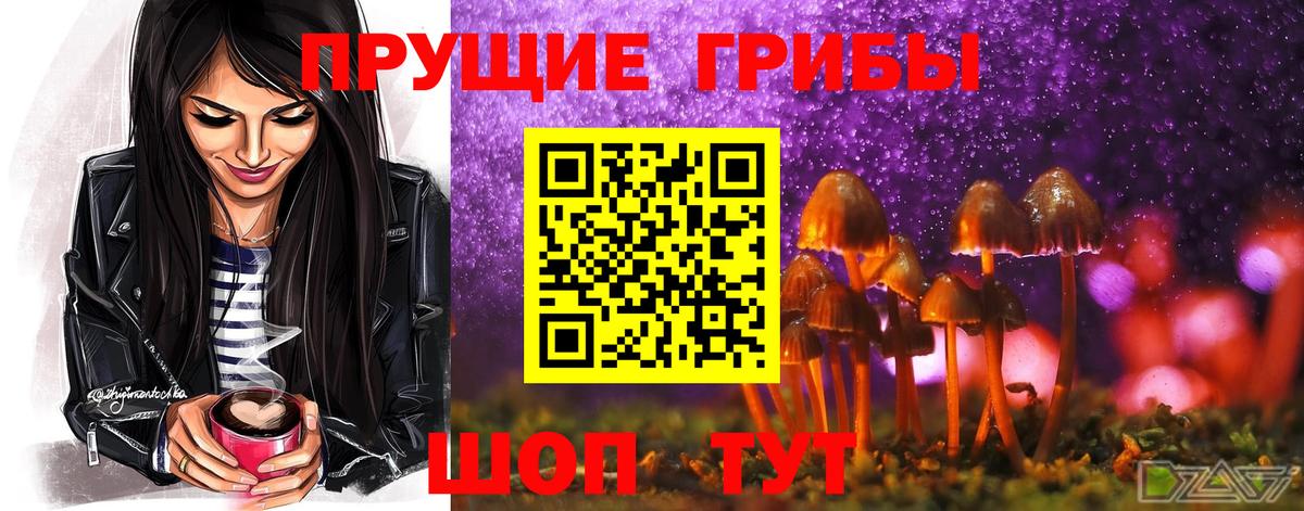 Галлюциногенные грибы прущие грибы  Галлюциногенные грибы прущие грибы  Вход с VPN  Лесной 